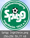 SpVgg Ingelheim.png