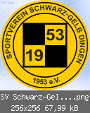 SV Schwarz-Gelb Dingen.png