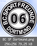 BC SF Dortmund.png