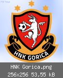 HNK Gorica.png