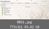 RBS1.jpg